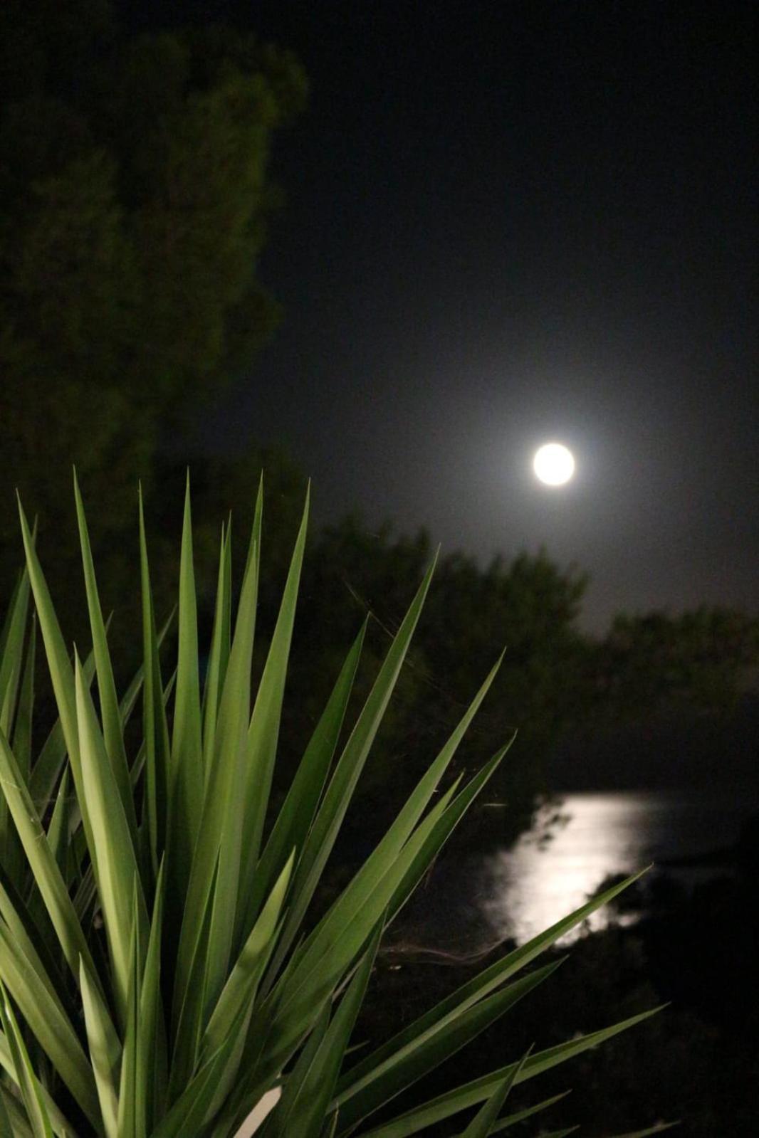 Vrbanj Holiday Hvar מראה חיצוני תמונה